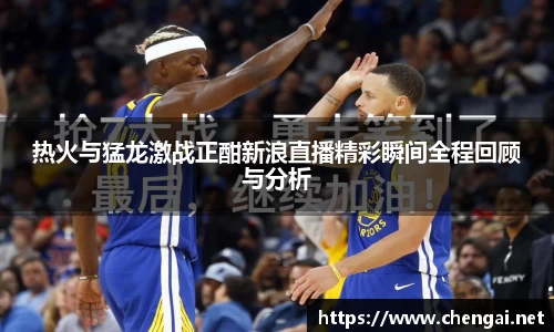 热火与猛龙激战正酣新浪直播精彩瞬间全程回顾与分析